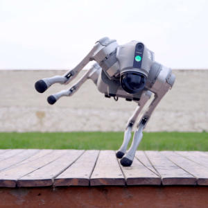 Unitree Go2 Robot Dog Quadruped Robotics for Adults Embodied AI (Go2 Pro) - Image 3