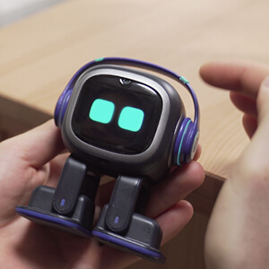 EMO robot with personality