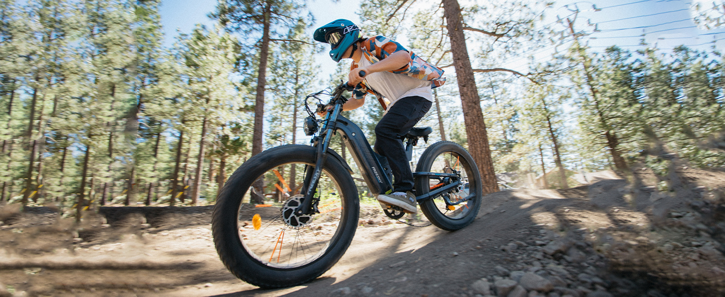 electric mountain bike
