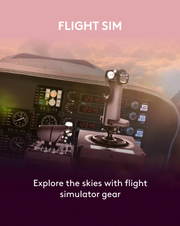 flight sim