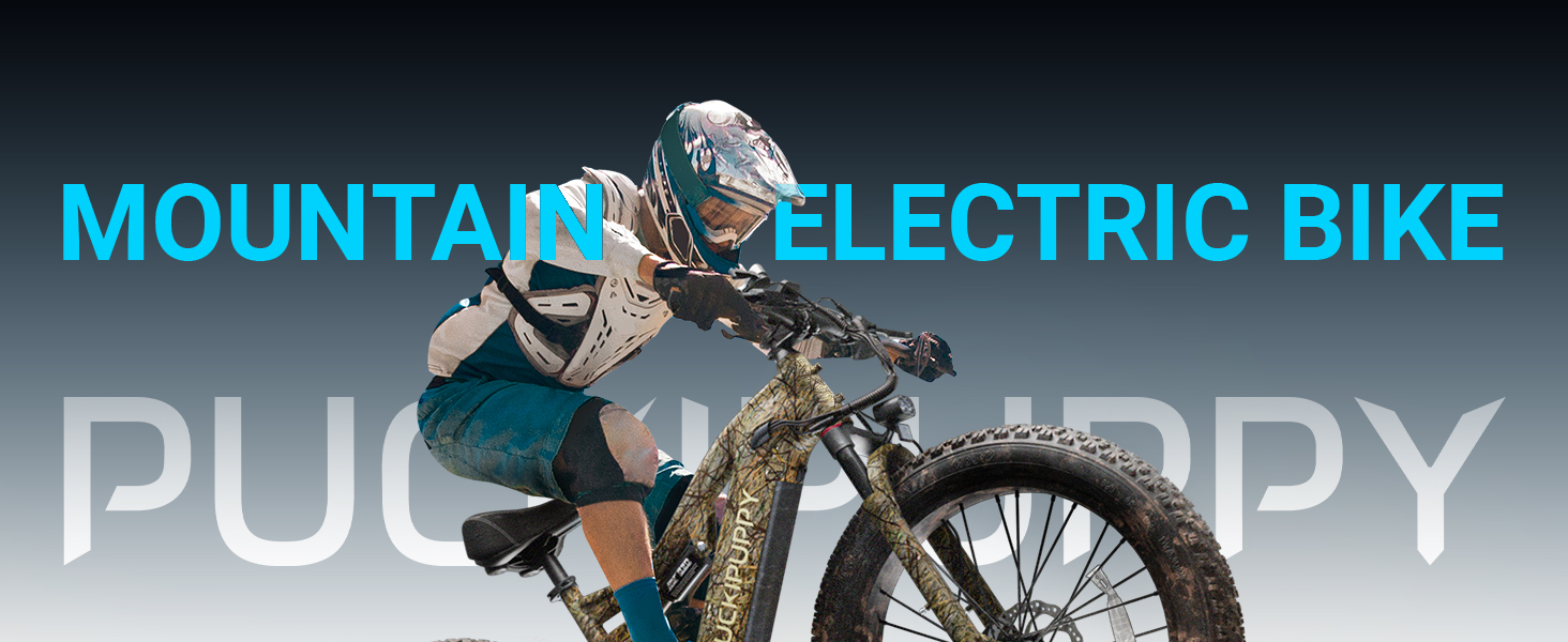 electric bike for adults e bikes for adults electric dirt bike fat tire electric bike