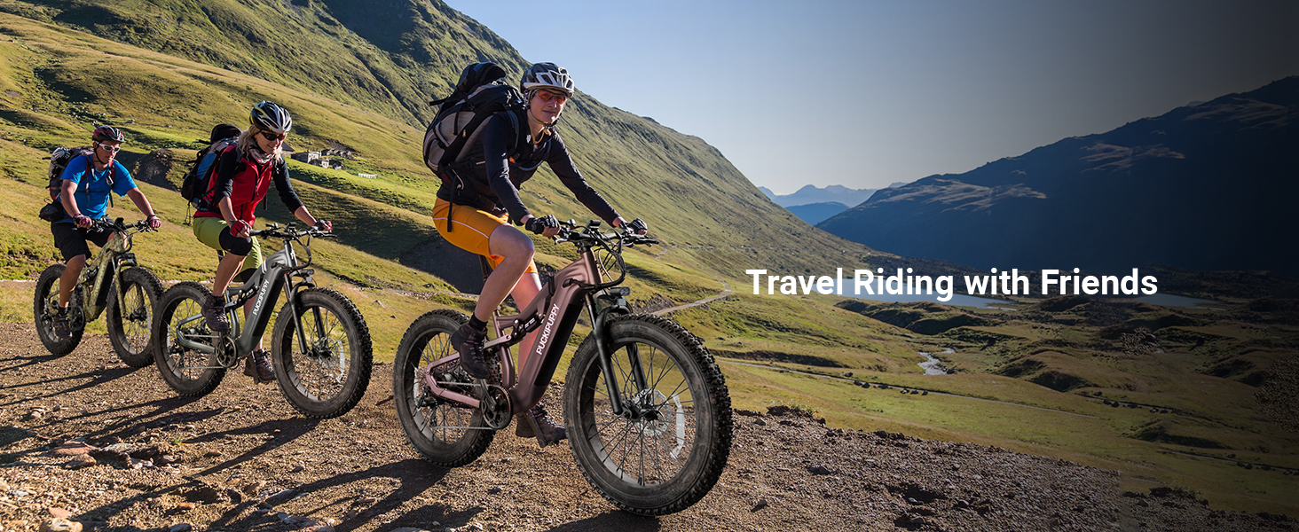 electric bike for adults e bikes for adults electric dirt bike fat tire electric bike