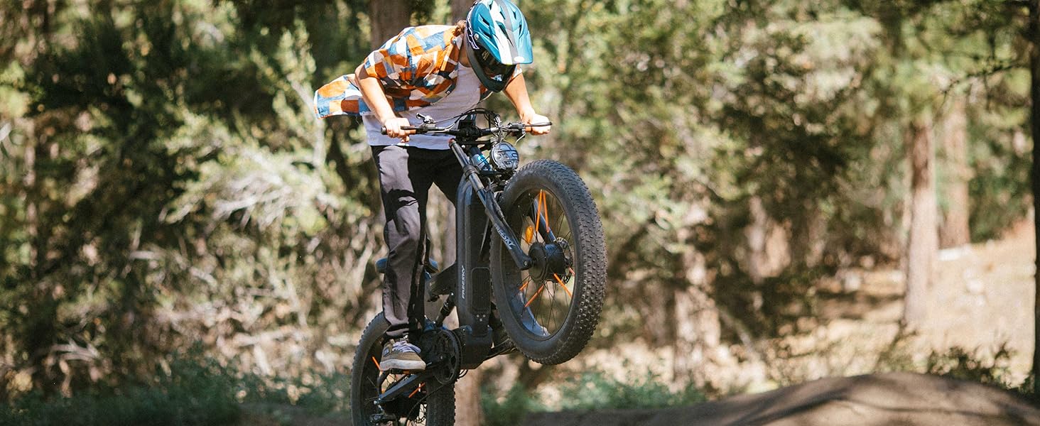 freesky electric bike