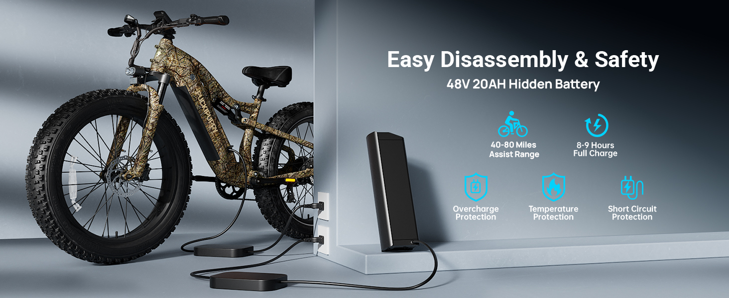 electric bike for adults e bikes for adults electric dirt bike fat tire electric bike