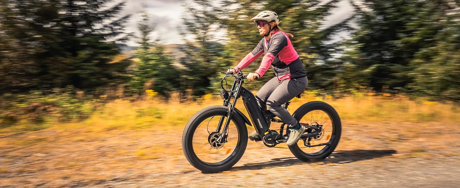 dual motor electric bike