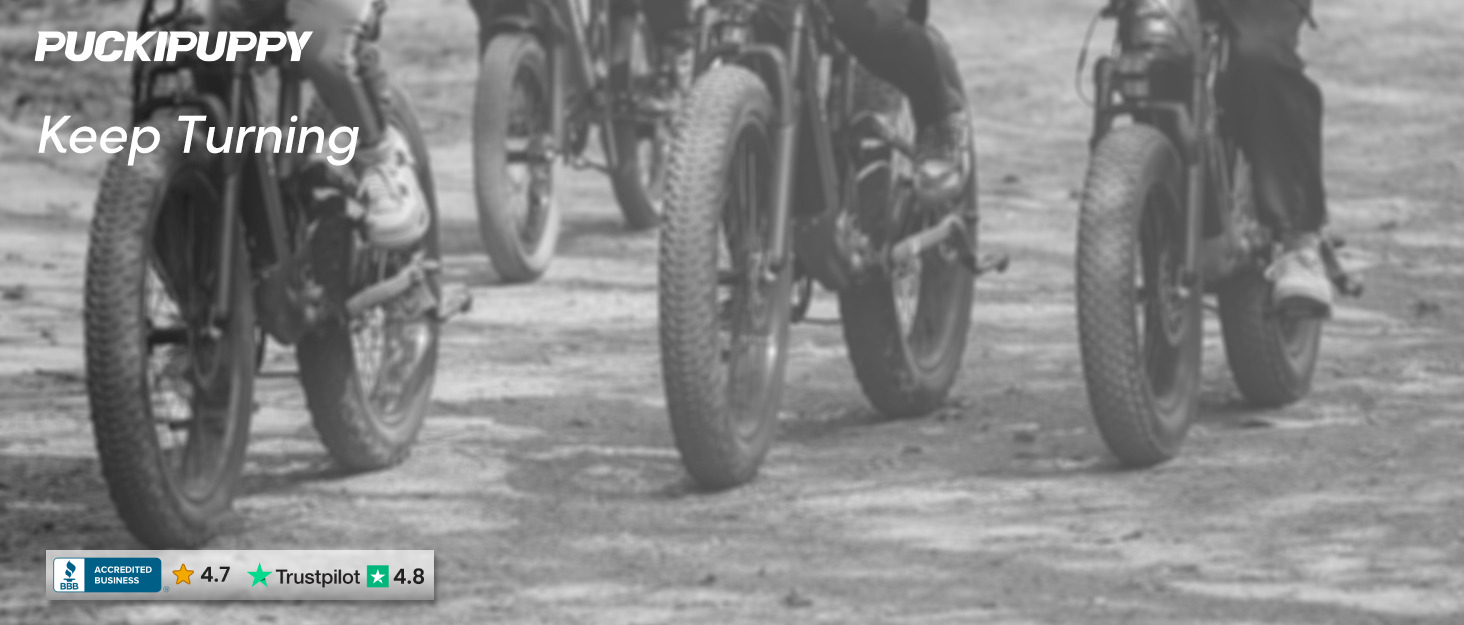 PUCKIPUPPY Electric Bike for Adults